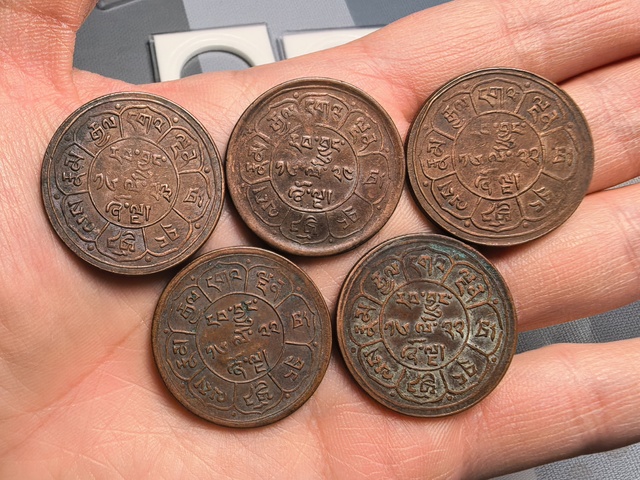 古玩錢幣西藏銅元真品鑒賞圖