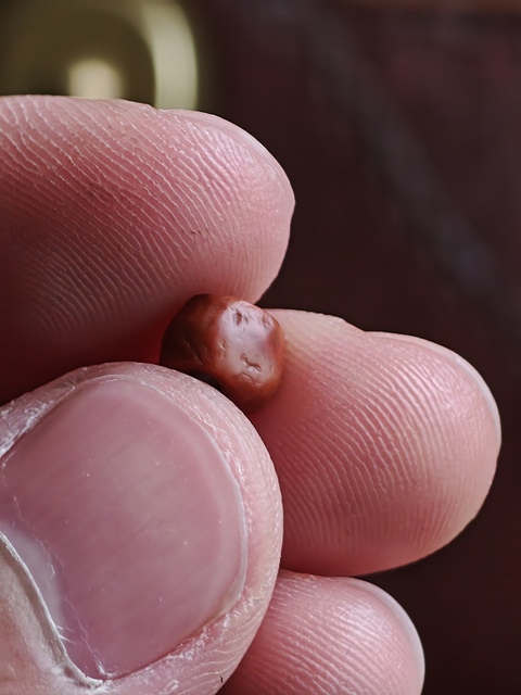 古玩玉器老瑪瑙珠真品鑒賞圖