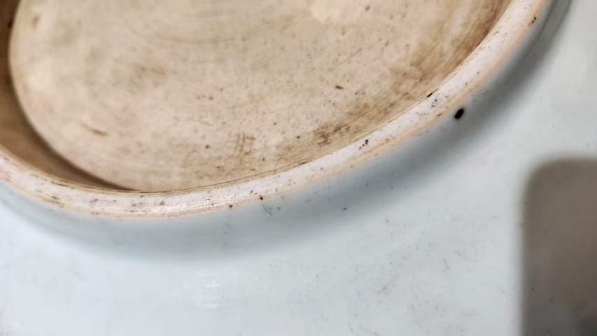 古玩陶瓷青花過墻龍紋盤真品鑒賞圖