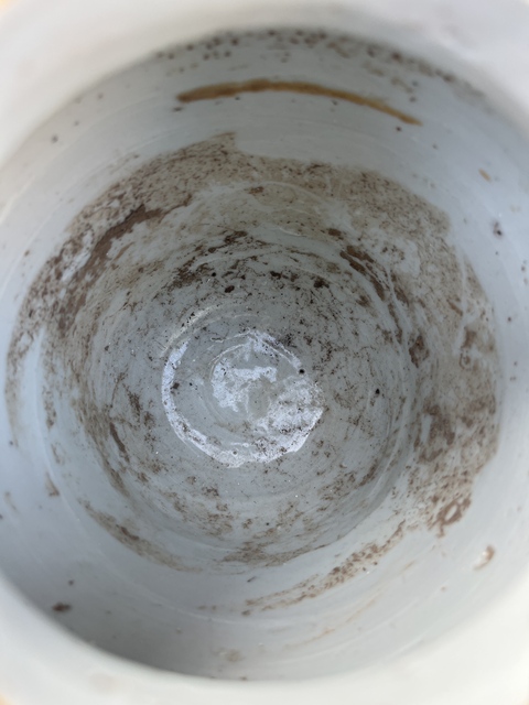 古玩陶瓷甜白釉罐真品鑒賞圖