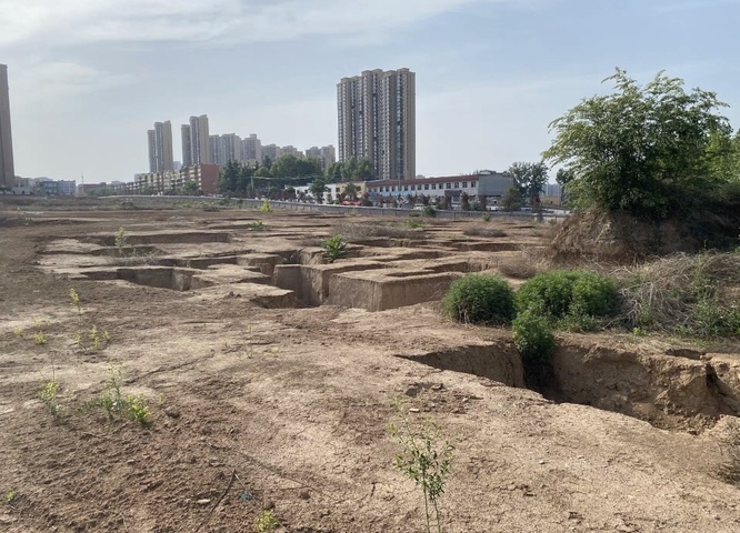 古玩陶瓷唐代 墓磚拍賣，當前價格168元