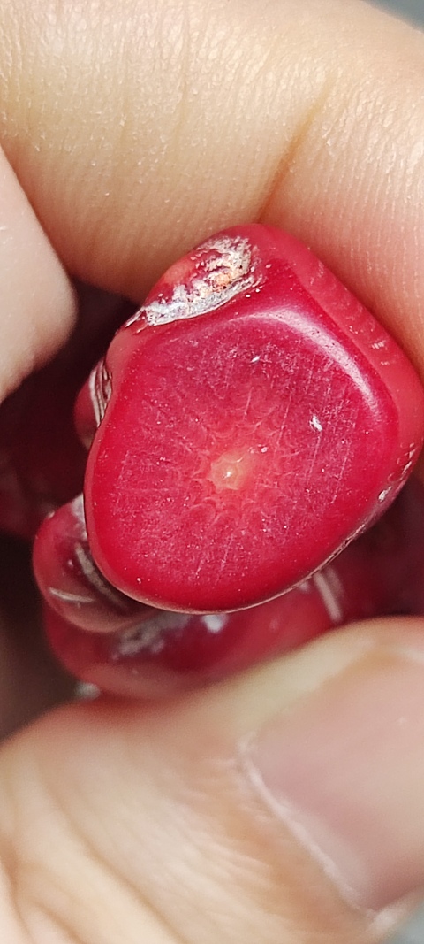 古玩字畫山珊瑚人物雕件真品鑒賞圖