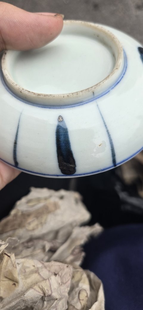 古玩陶瓷日本明治至大正青花盤真品鑒賞圖