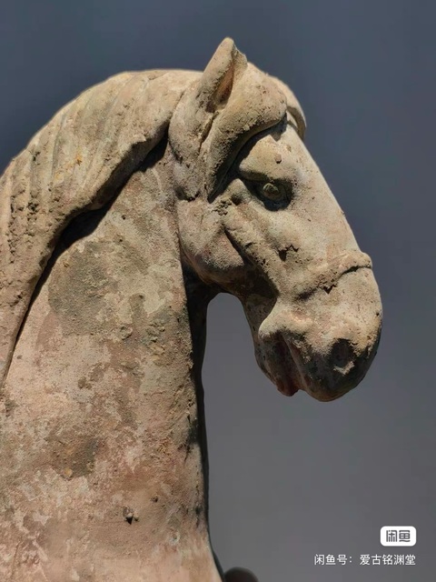 古玩陶瓷陶馬真品鑒賞圖