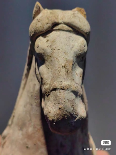 古玩陶瓷陶馬真品鑒賞圖