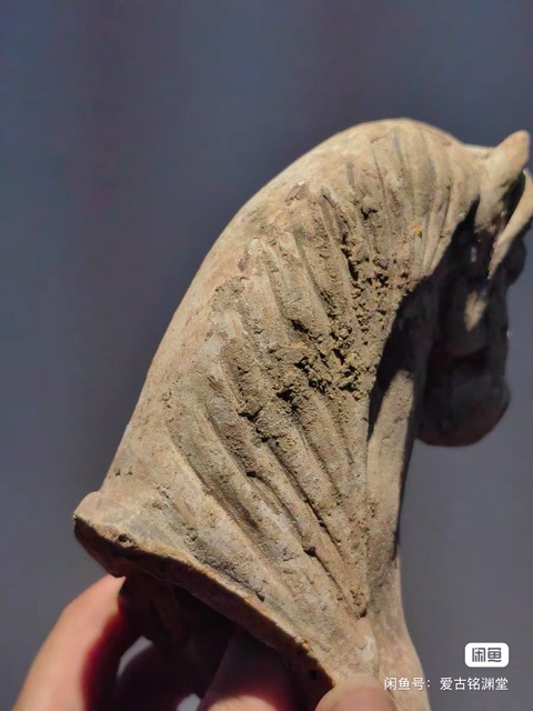 古玩陶瓷陶馬真品鑒賞圖