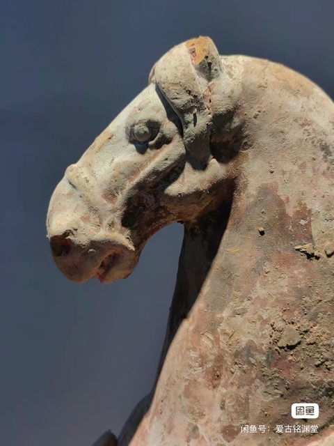 古玩陶瓷陶馬真品鑒賞圖