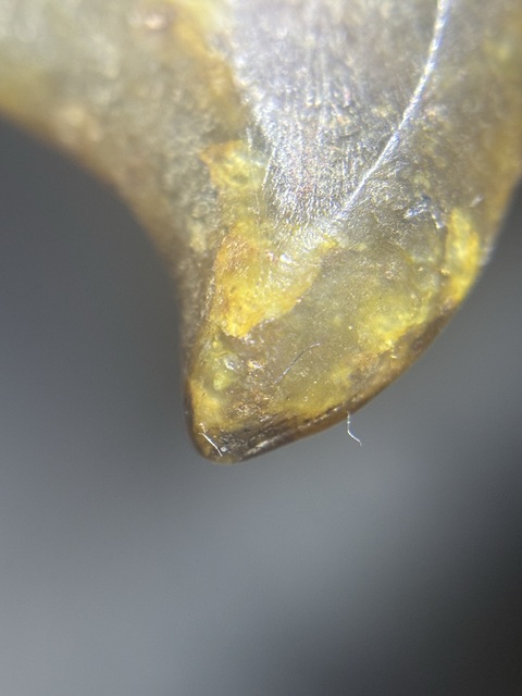 古玩玉器仿“紅山文化”勾云形佩真品鑒賞圖