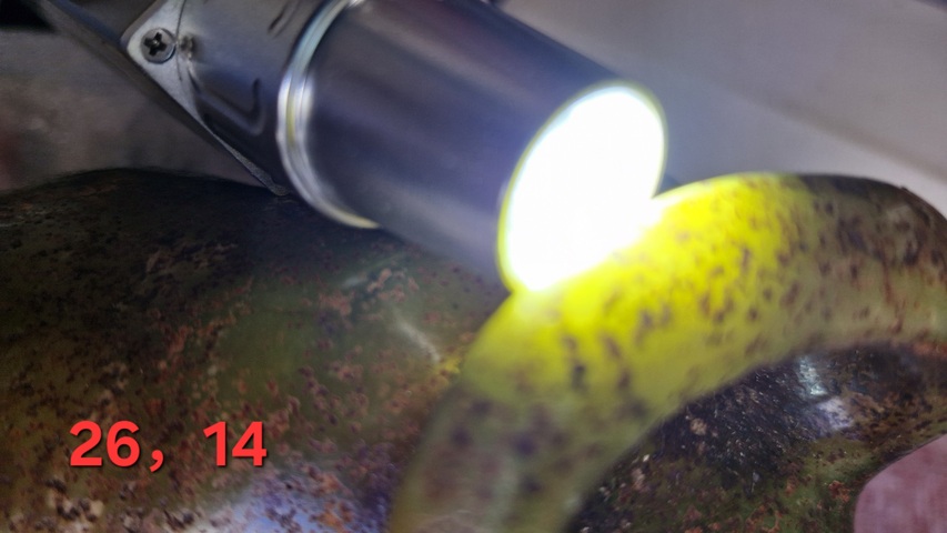 古玩玉器做舊仿古“玉牛”真品鑒賞圖