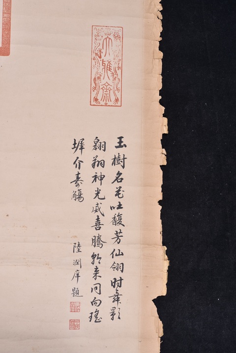 古玩字畫鳳凰真品鑒賞圖