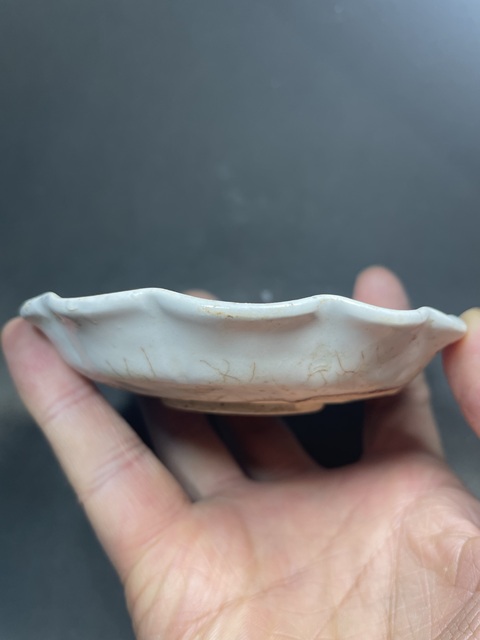 古玩陶瓷白釉花口碟真品鑒賞圖