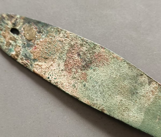 古玩錢幣魚幣真品鑒賞圖