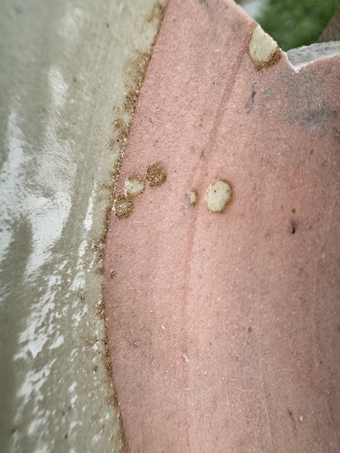 古玩陶瓷龍泉窯青釉香爐標本真品鑒賞圖