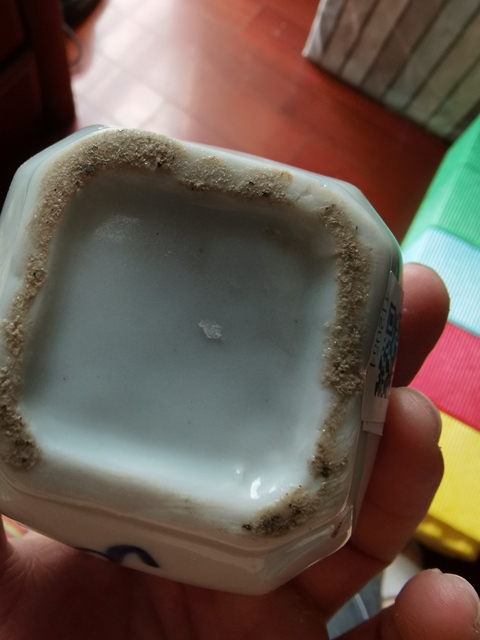 古玩陶瓷龍紋瓶真品鑒賞圖