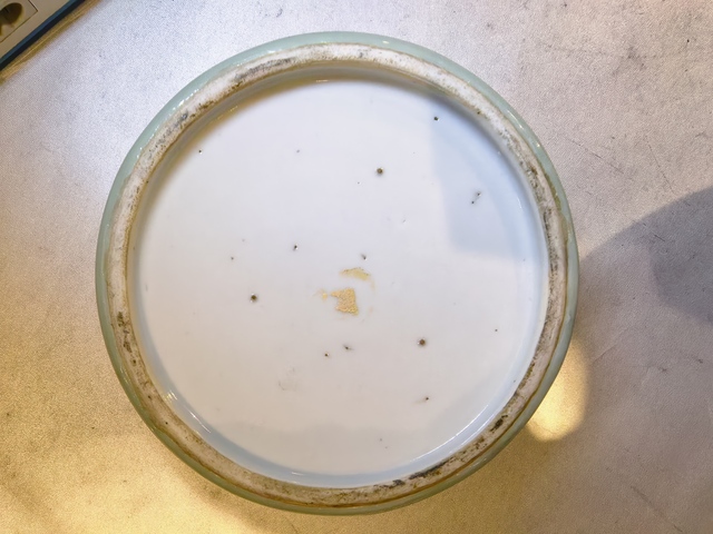 古玩陶瓷青釉洗真品鑒賞圖