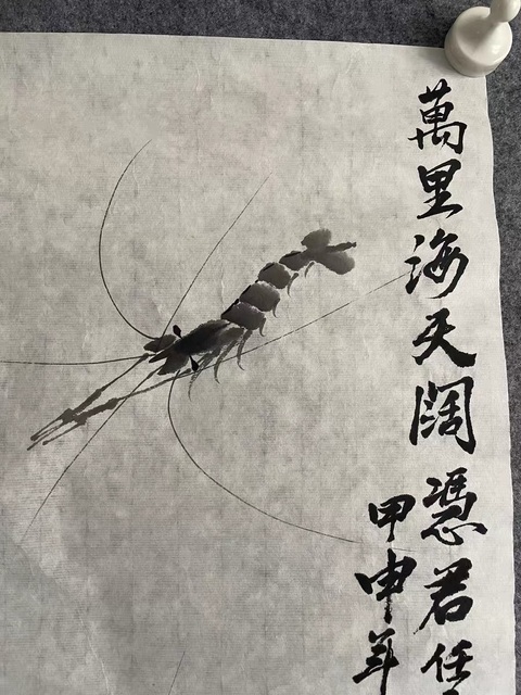 古玩字畫當(dāng)代·齊慧娟 墨蝦真品鑒賞圖