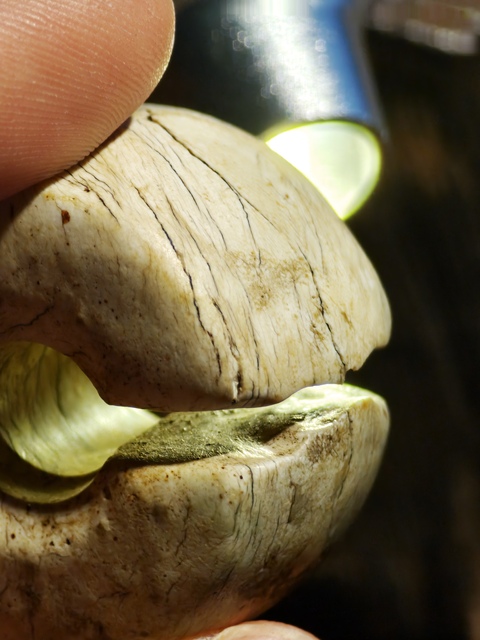 古玩玉器古玉玨真品鑒賞圖