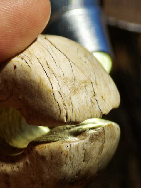 古玩玉器古玉玨真品鑒賞圖