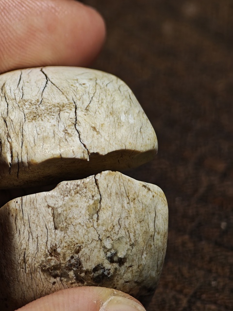 古玩玉器古玉玨真品鑒賞圖