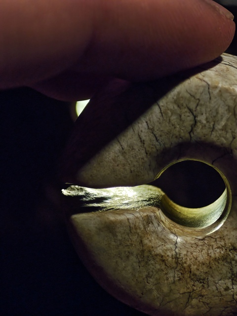 古玩玉器古玉玨真品鑒賞圖