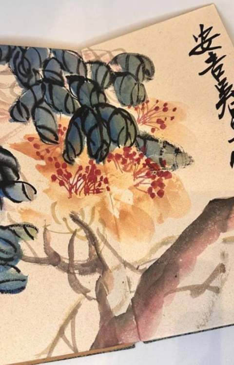 古玩字畫花卉冊頁真品鑒賞圖