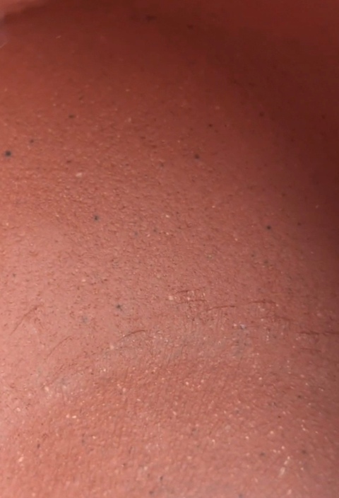 古玩雜項紫砂壺真品鑒賞圖