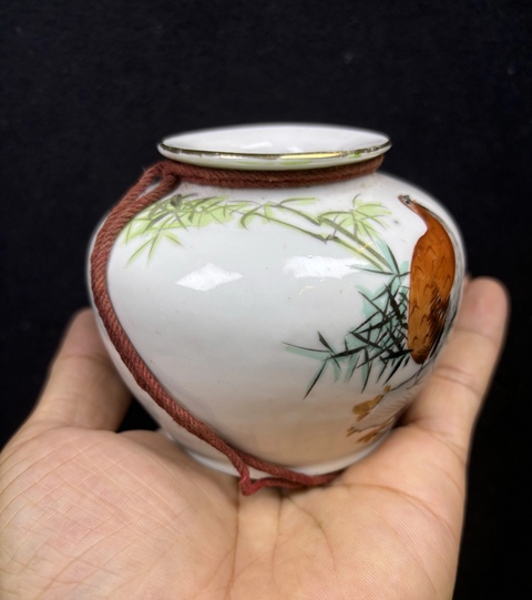 古玩陶瓷粉彩花鳥紋蘋果尊真品鑒賞圖