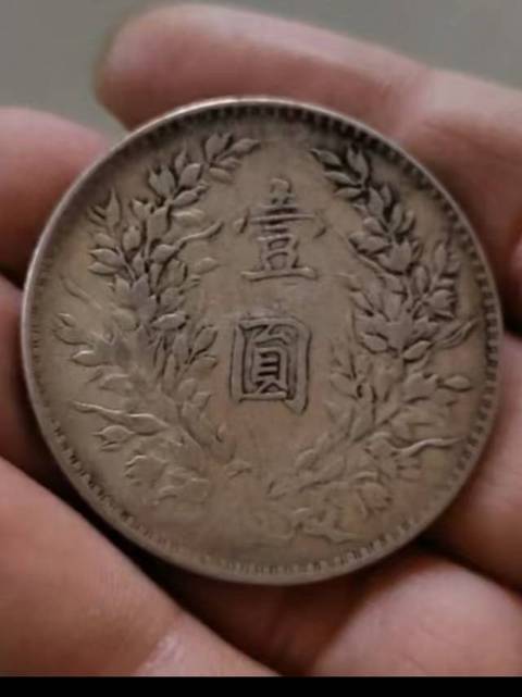 古玩錢幣民國十年袁像壹圓真品鑒賞圖