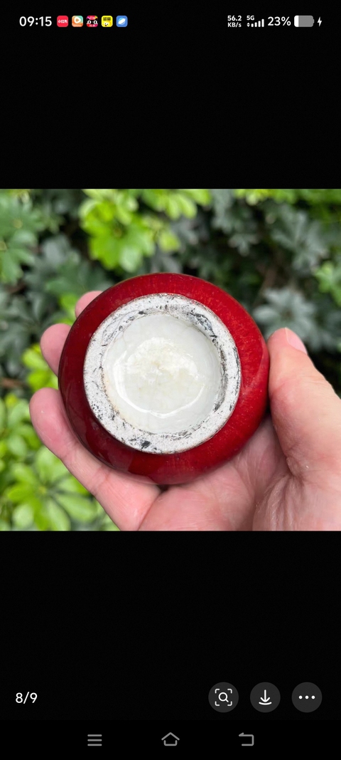 古玩陶瓷紅釉水盂真品鑒賞圖