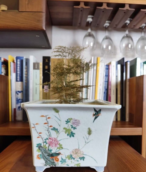 古玩陶瓷民國 粉彩花鳥紋花盆真品鑒賞圖