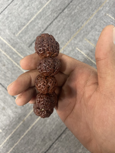 古玩雜項金剛菩提籽真品鑒賞圖