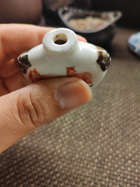 古玩陶瓷礬紅馬紋鼻煙壺真品鑒賞圖