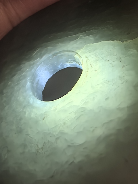 古玩玉器和田玉雕“蒲紋璧”真品鑒賞圖