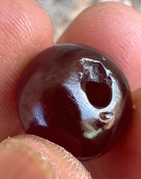 古玩玉器珠子真品鑒賞圖