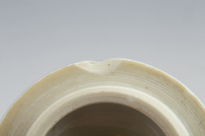 古玩陶瓷清·康熙·青花花卉紋壺真品鑒賞圖