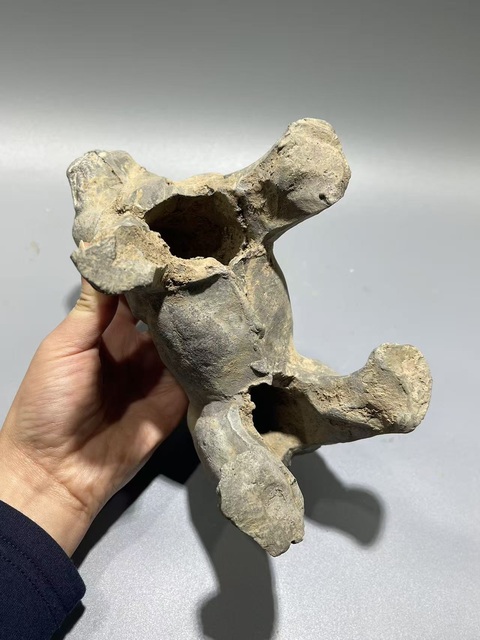 古玩陶瓷漢·田園犬真品鑒賞圖