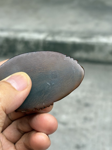 古玩雜項角雕小件真品鑒賞圖