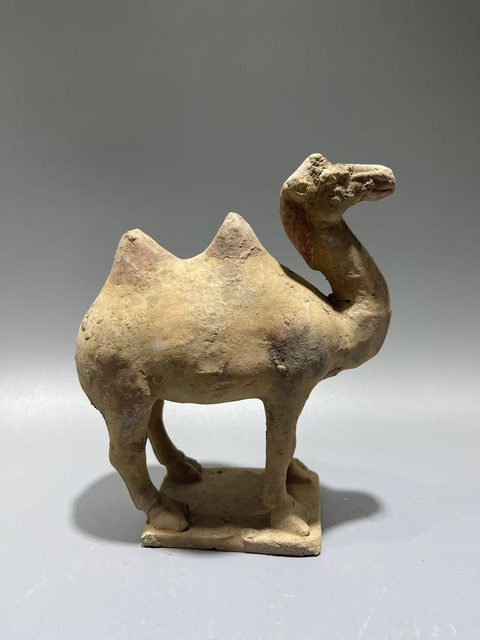 古玩陶瓷唐·駱駝真品鑒賞圖