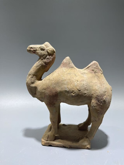 古玩陶瓷唐·駱駝真品鑒賞圖