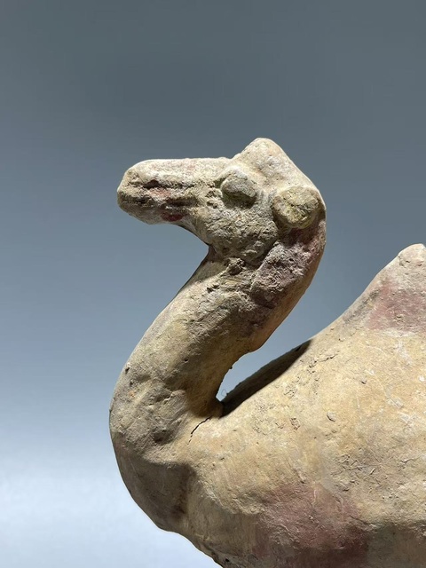 古玩陶瓷唐·駱駝真品鑒賞圖