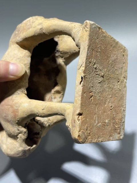 古玩陶瓷唐·駱駝真品鑒賞圖