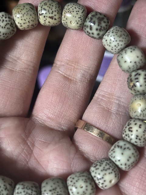 古玩雜項星月菩提手串真品鑒賞圖