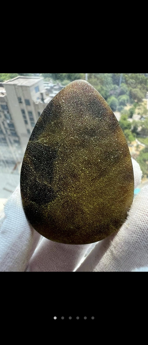 古玩雜項仿xi jiao 動物角質切片掛飾真品鑒賞圖