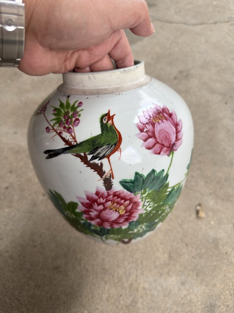 古玩陶瓷淺絳彩花鳥紋罐真品鑒賞圖