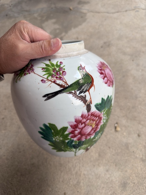 古玩陶瓷淺絳彩花鳥紋罐真品鑒賞圖