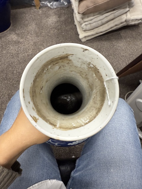 古玩陶瓷龍紋青花賞瓶真品鑒賞圖