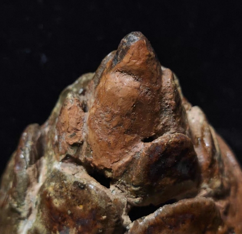 古玩陶瓷漢代黃釉博山爐真品鑒賞圖