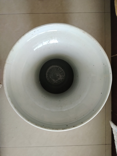 古玩陶瓷青花纏蓮雙耳瓶真品鑒賞圖