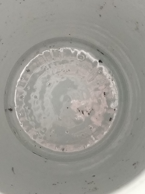 古玩陶瓷青花纏蓮雙耳瓶真品鑒賞圖