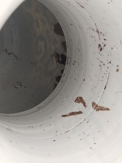 古玩陶瓷青花纏蓮雙耳瓶真品鑒賞圖